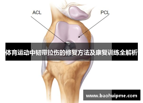 体育运动中韧带拉伤的修复方法及康复训练全解析